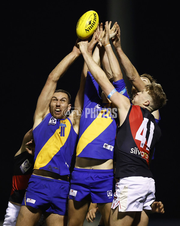 VFL 2023 Round 18 - Williamstown v Essendon - A-41167334