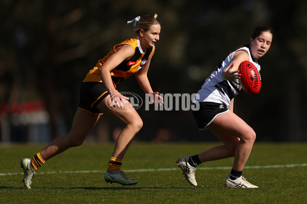 Coates Talent League Girls 2023 - Northern Knights v Dandenong Stingrays - A-41167366