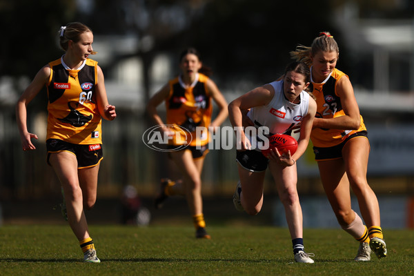 Coates Talent League Girls 2023 - Northern Knights v Dandenong Stingrays - A-41167378