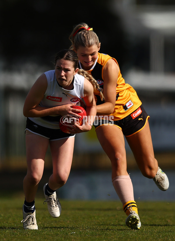 Coates Talent League Girls 2023 - Northern Knights v Dandenong Stingrays - A-41167379