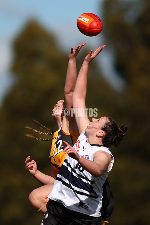 Coates Talent League Girls 2023 - Northern Knights v Dandenong Stingrays - A-41167384