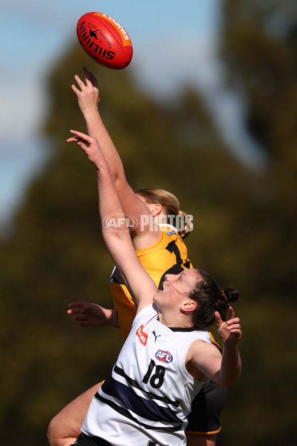 Coates Talent League Girls 2023 - Northern Knights v Dandenong Stingrays - A-41167385