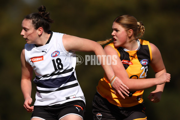 Coates Talent League Girls 2023 - Northern Knights v Dandenong Stingrays - A-41167386