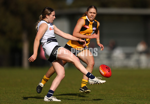 Coates Talent League Girls 2023 - Northern Knights v Dandenong Stingrays - A-41167393