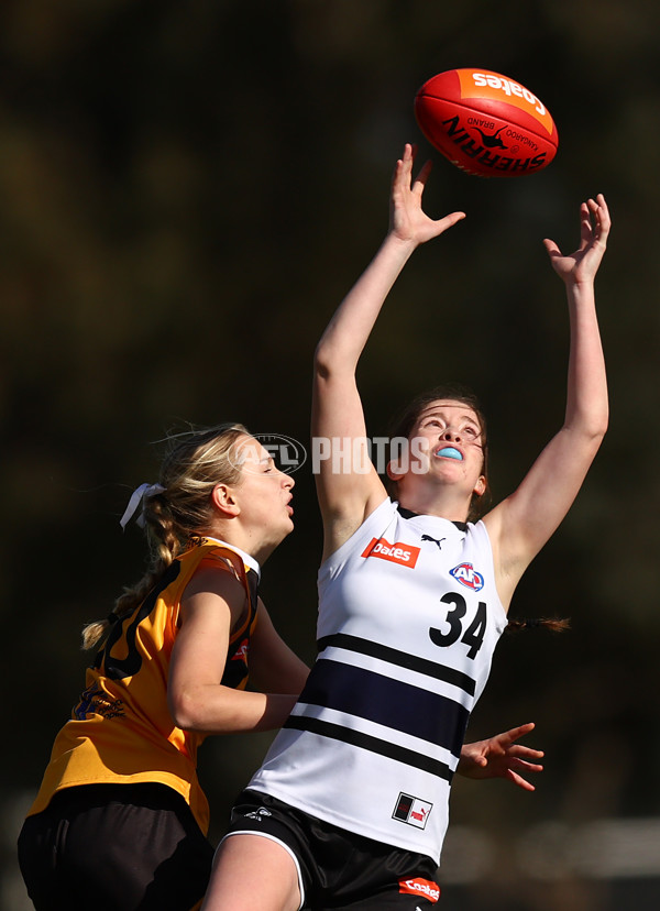 Coates Talent League Girls 2023 - Northern Knights v Dandenong Stingrays - A-41168743