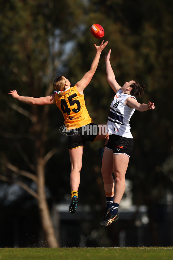 Coates Talent League Girls 2023 - Northern Knights v Dandenong Stingrays - A-41168748