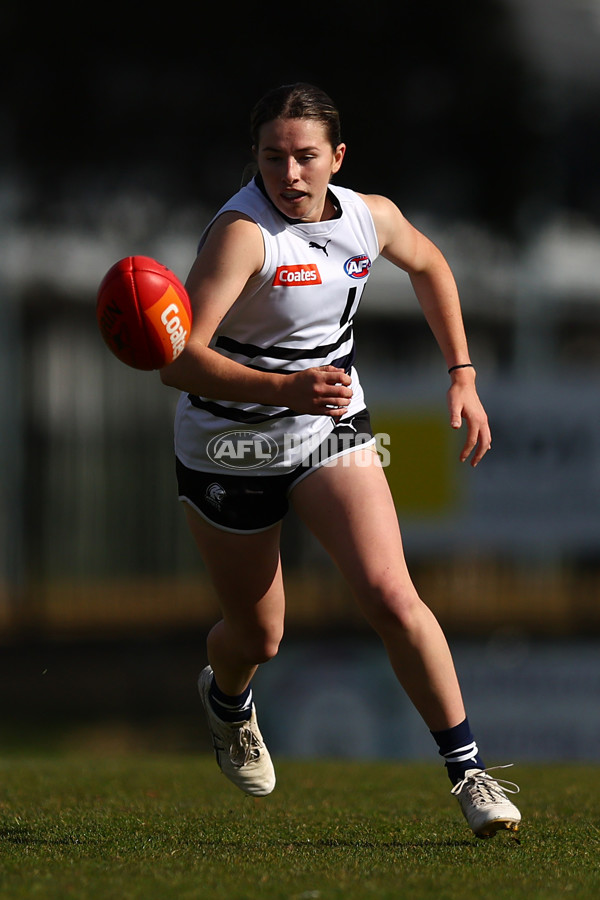 Coates Talent League Girls 2023 - Northern Knights v Dandenong Stingrays - A-41168756