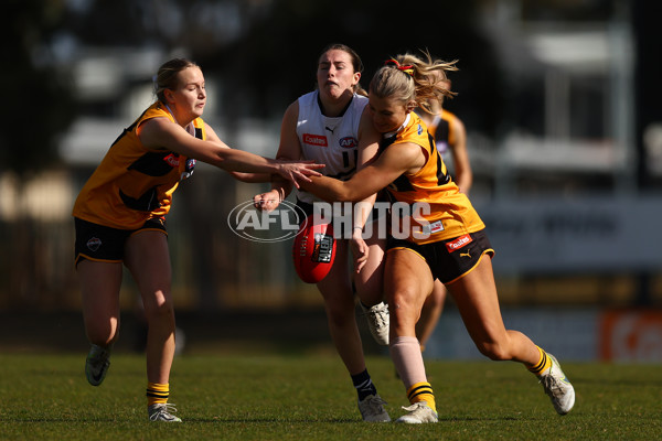 Coates Talent League Girls 2023 - Northern Knights v Dandenong Stingrays - A-41168758