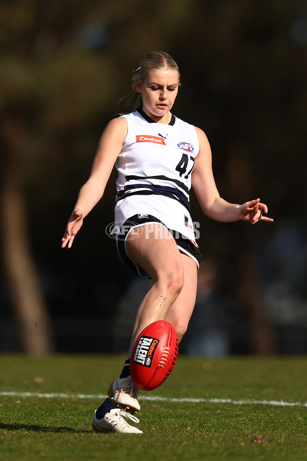 Coates Talent League Girls 2023 - Northern Knights v Dandenong Stingrays - A-41175289