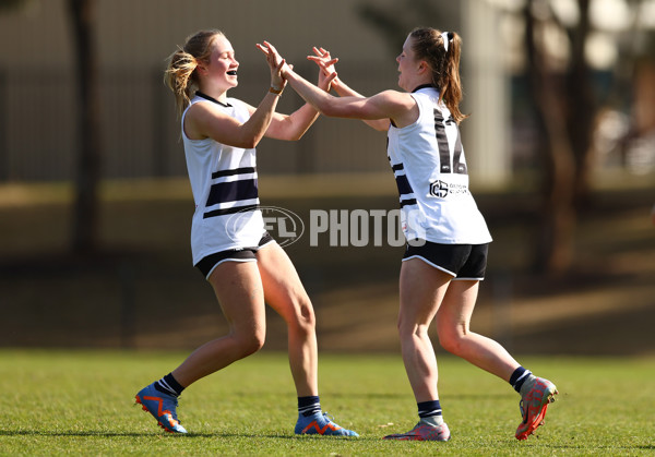 Coates Talent League Girls 2023 - Northern Knights v Dandenong Stingrays - A-41175292