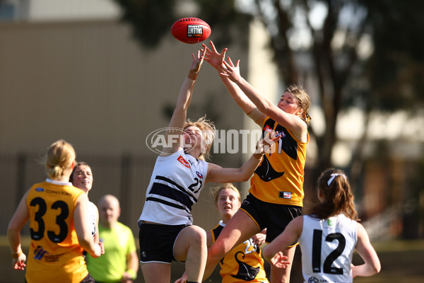 Coates Talent League Girls 2023 - Northern Knights v Dandenong Stingrays - A-41175299