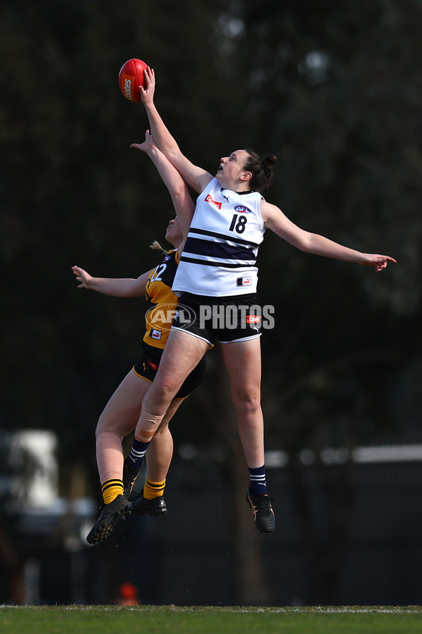 Coates Talent League Girls 2023 - Northern Knights v Dandenong Stingrays - A-41175327