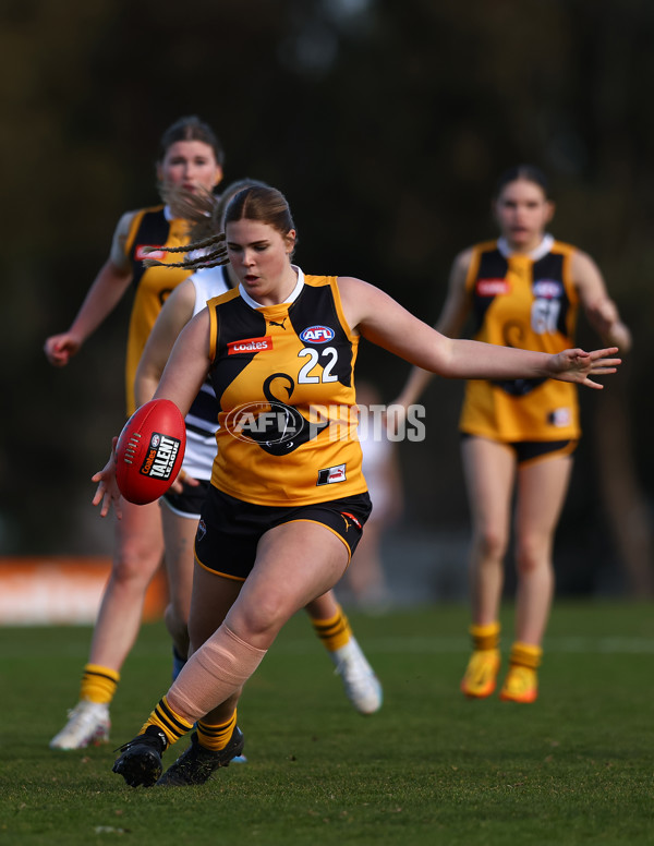 Coates Talent League Girls 2023 - Northern Knights v Dandenong Stingrays - A-41176712