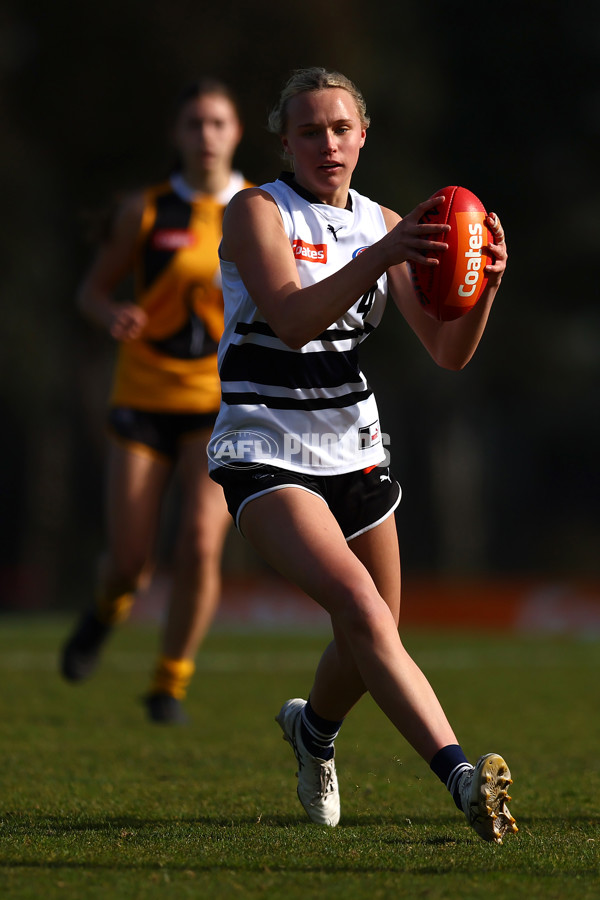 Coates Talent League Girls 2023 - Northern Knights v Dandenong Stingrays - A-41176766