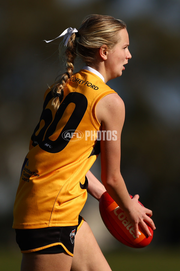 Coates Talent League Girls 2023 - Northern Knights v Dandenong Stingrays - A-41178619