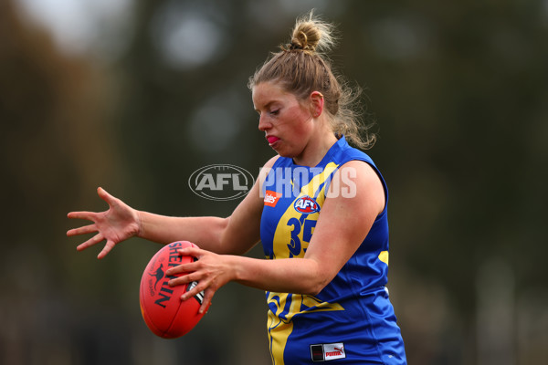 Coates Talent League Girls 2023 - Western Jets v Murray Bushrangers - A-41184163