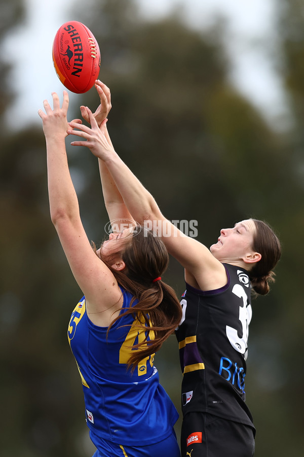 Coates Talent League Girls 2023 - Western Jets v Murray Bushrangers - A-41189547