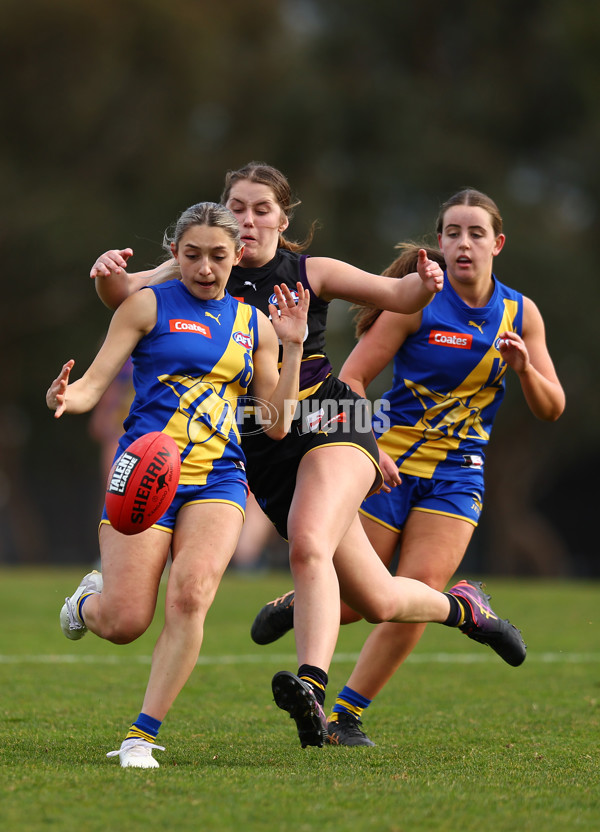 Coates Talent League Girls 2023 - Western Jets v Murray Bushrangers - A-41191226