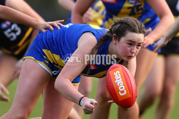 Coates Talent League Girls 2023 - Western Jets v Murray Bushrangers - A-41192398