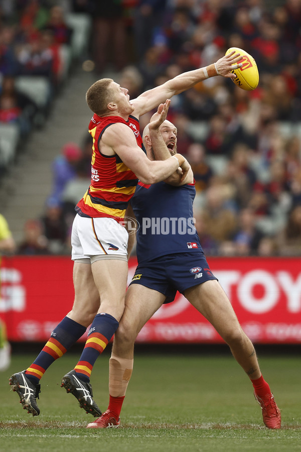 AFL 2023 Round 19 - Melbourne v Adelaide - A-41244606