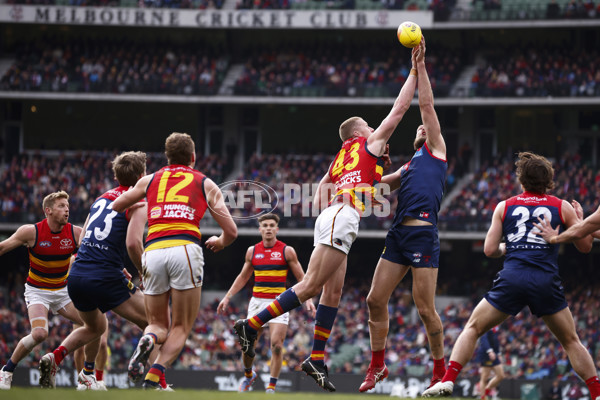 AFL 2023 Round 19 - Melbourne v Adelaide - A-41247903