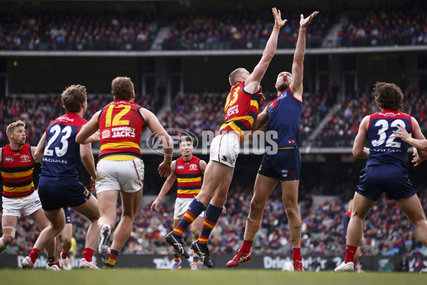 AFL 2023 Round 19 - Melbourne v Adelaide - A-41247904