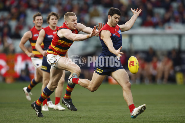 AFL 2023 Round 19 - Melbourne v Adelaide - A-41260130