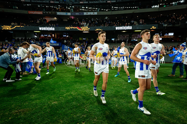 AFL 2023 Round 19 - St Kilda v North Melbourne - A-41318777