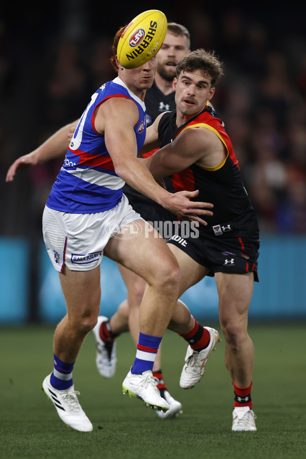 AFL 2023 Round 19 - Essendon v Western Bulldogs - A-41366608