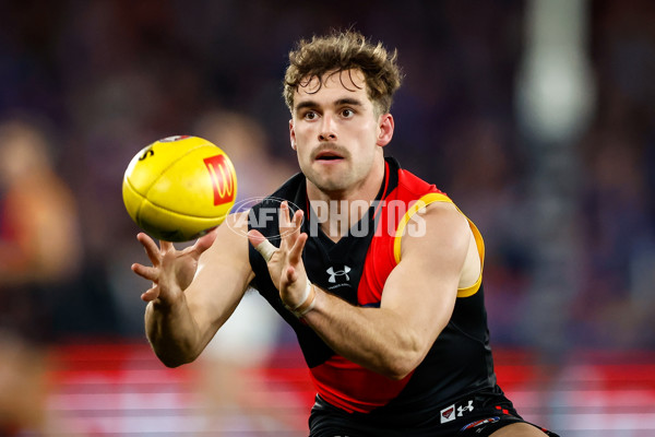 AFL 2023 Round 19 - Essendon v Western Bulldogs - A-41366627