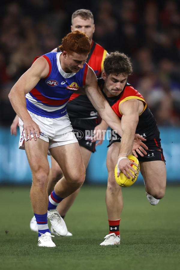 AFL 2023 Round 19 - Essendon v Western Bulldogs - A-41366781