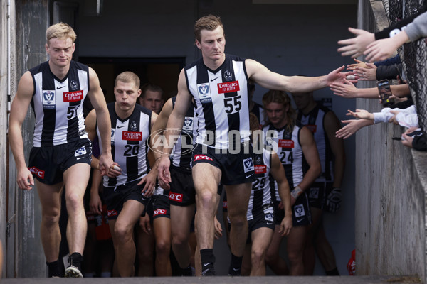 VFL 2023 Round 19 - Collingwood v Carlton - A-41408129