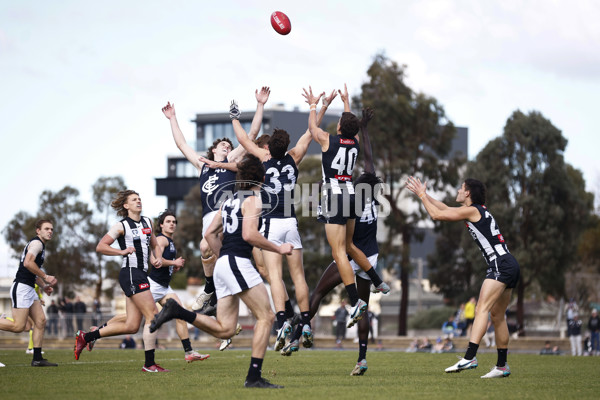 VFL 2023 Round 19 - Collingwood v Carlton - A-41408136