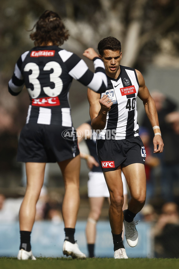VFL 2023 Round 19 - Collingwood v Carlton - A-41408137