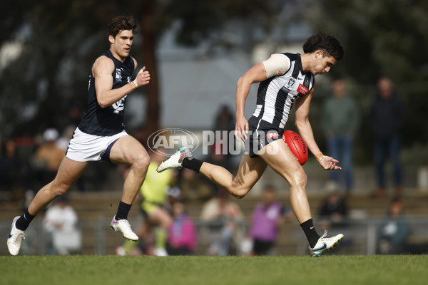 VFL 2023 Round 19 - Collingwood v Carlton - A-41408168