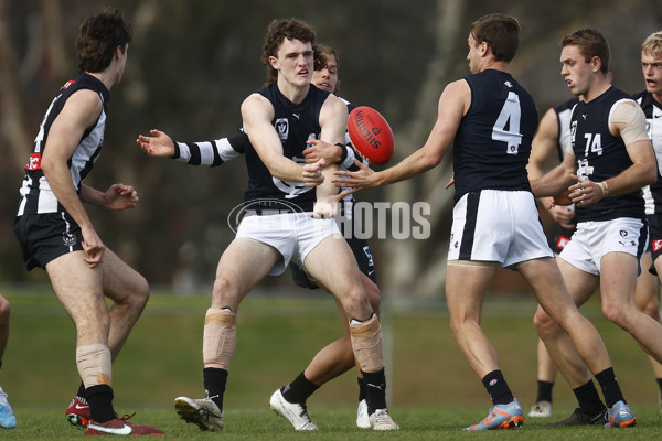 VFL 2023 Round 19 - Collingwood v Carlton - A-41408171