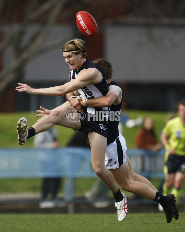 VFL 2023 Round 19 - Collingwood v Carlton - A-41408172