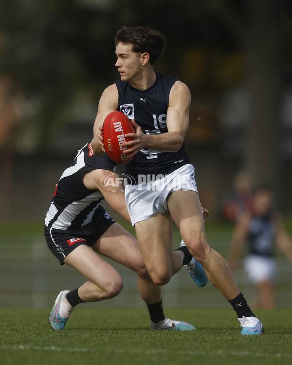 VFL 2023 Round 19 - Collingwood v Carlton - A-41408175