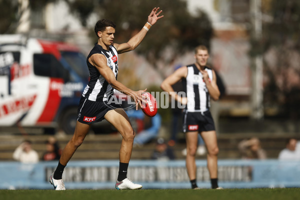 VFL 2023 Round 19 - Collingwood v Carlton - A-41415662