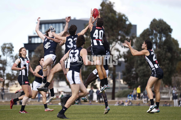 VFL 2023 Round 19 - Collingwood v Carlton - A-41415663