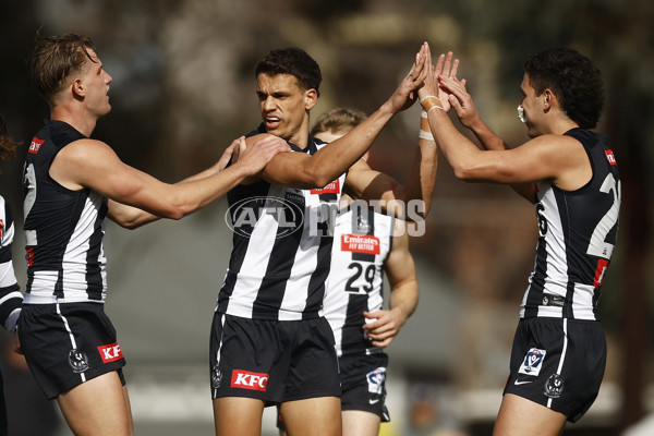 VFL 2023 Round 19 - Collingwood v Carlton - A-41415667