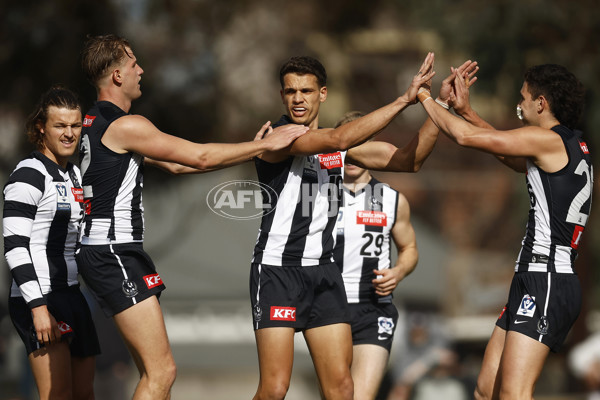 VFL 2023 Round 19 - Collingwood v Carlton - A-41415668