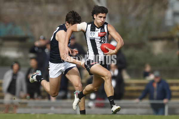 VFL 2023 Round 19 - Collingwood v Carlton - A-41415693