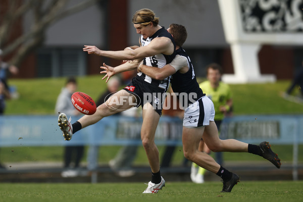 VFL 2023 Round 19 - Collingwood v Carlton - A-41415695