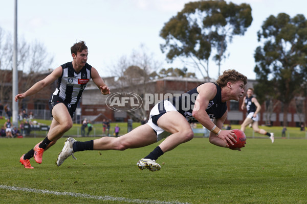 VFL 2023 Round 19 - Collingwood v Carlton - A-41415713