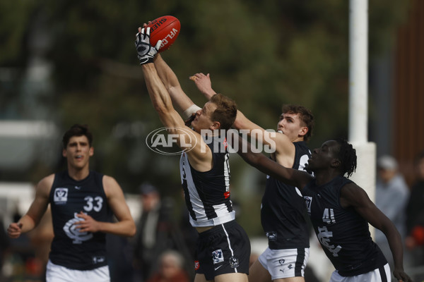 VFL 2023 Round 19 - Collingwood v Carlton - A-41417393