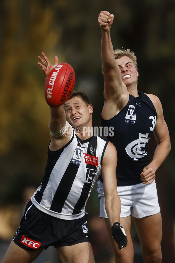 VFL 2023 Round 19 - Collingwood v Carlton - A-41417396