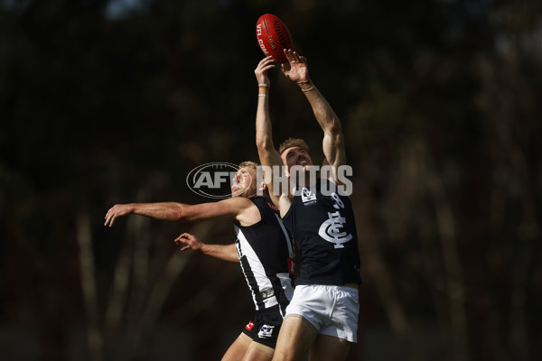 VFL 2023 Round 19 - Collingwood v Carlton - A-41417398