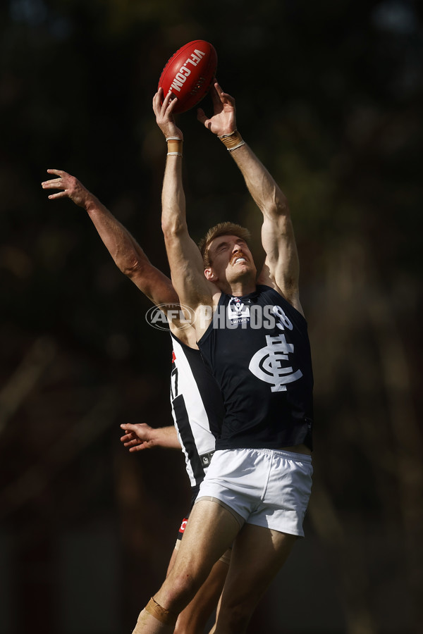 VFL 2023 Round 19 - Collingwood v Carlton - A-41417399