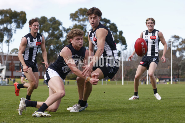 VFL 2023 Round 19 - Collingwood v Carlton - A-41417400